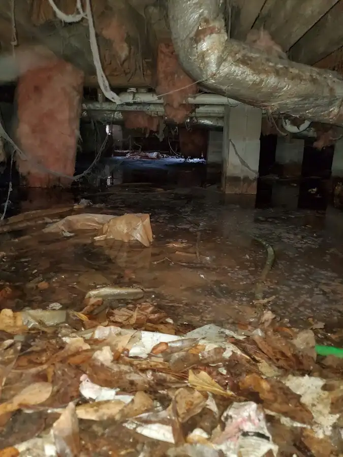 Crawl space flood assessment for Leak Detection & Repair in Shreveport